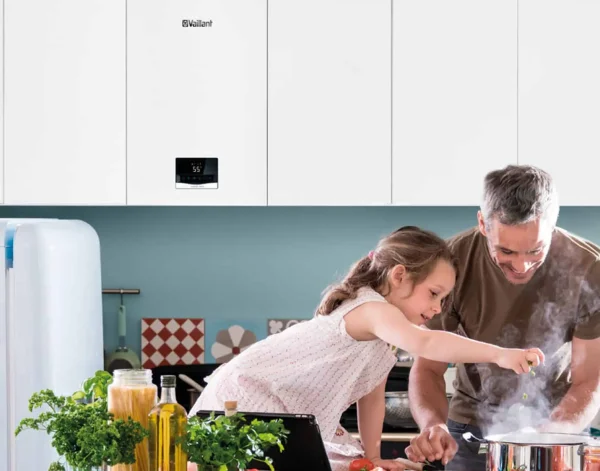 ECOTEC INTRO VMW 24/28 AS/1-1 - immagine 3